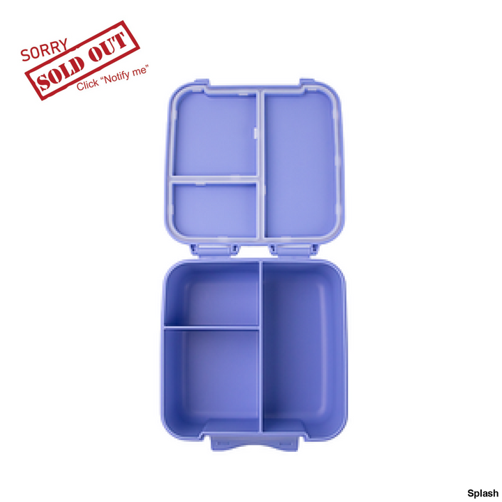 Montiico Bite Lunch Box Splash