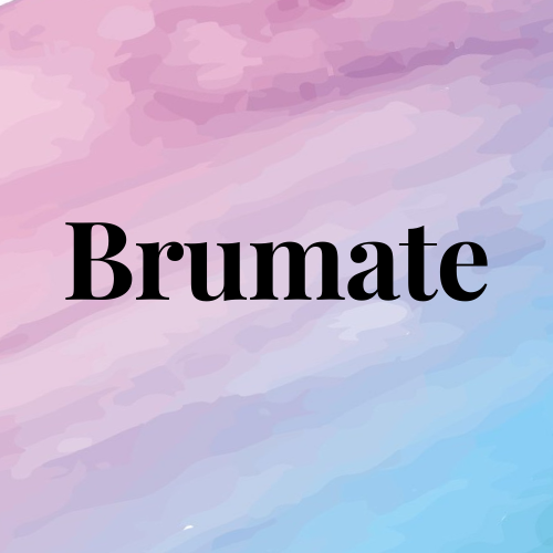 Brumate Drinkware