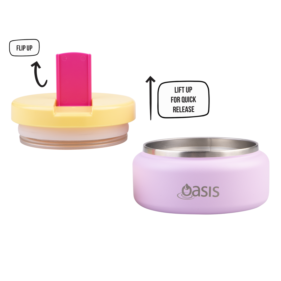 Oasis Insulated Food Flask With Quick Release Lid 230ml