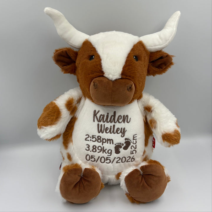 Texas Longhorn Cubby