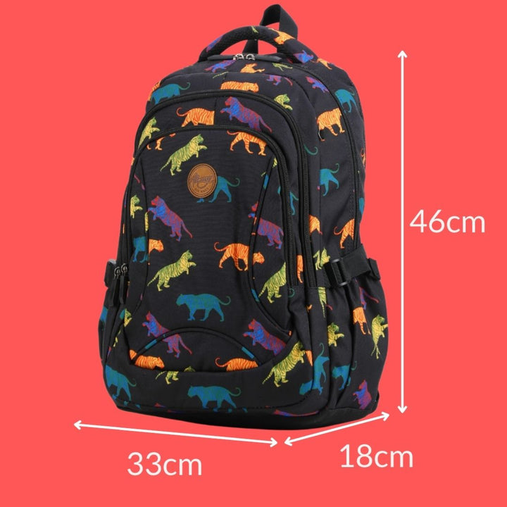 Alimasy School Backpack