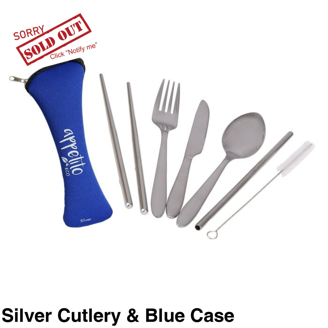Reusable Stainless Steel Travel Cutlery Set Silver & Blue Case