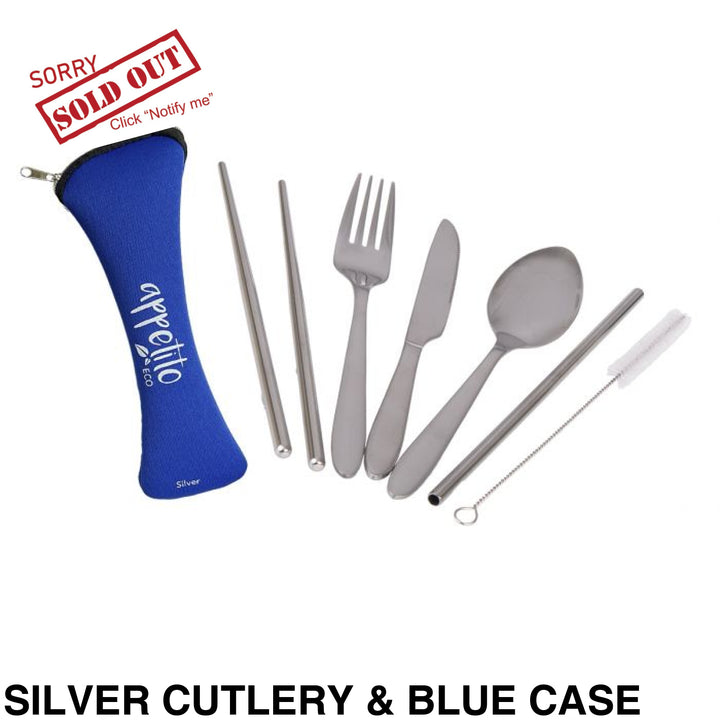Reusable Stainless Steel Travel Cutlery Set Silver & Blue Case