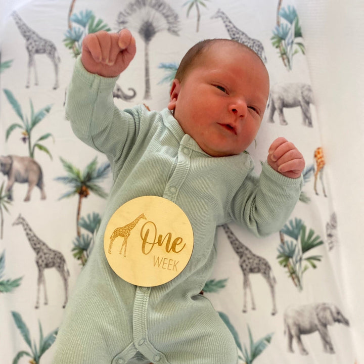 Assorted - Baby Milestone Engraved Discs