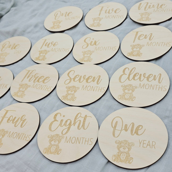 Assorted - Baby Milestone Engraved Discs Teddy Bears