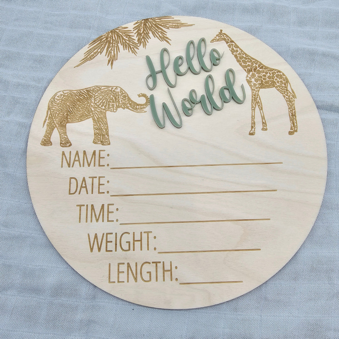 Assorted - Hello World Announcement Plaque