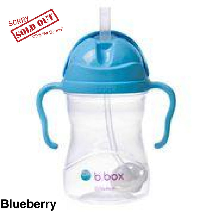 B.box Sippy Cup Blueberry