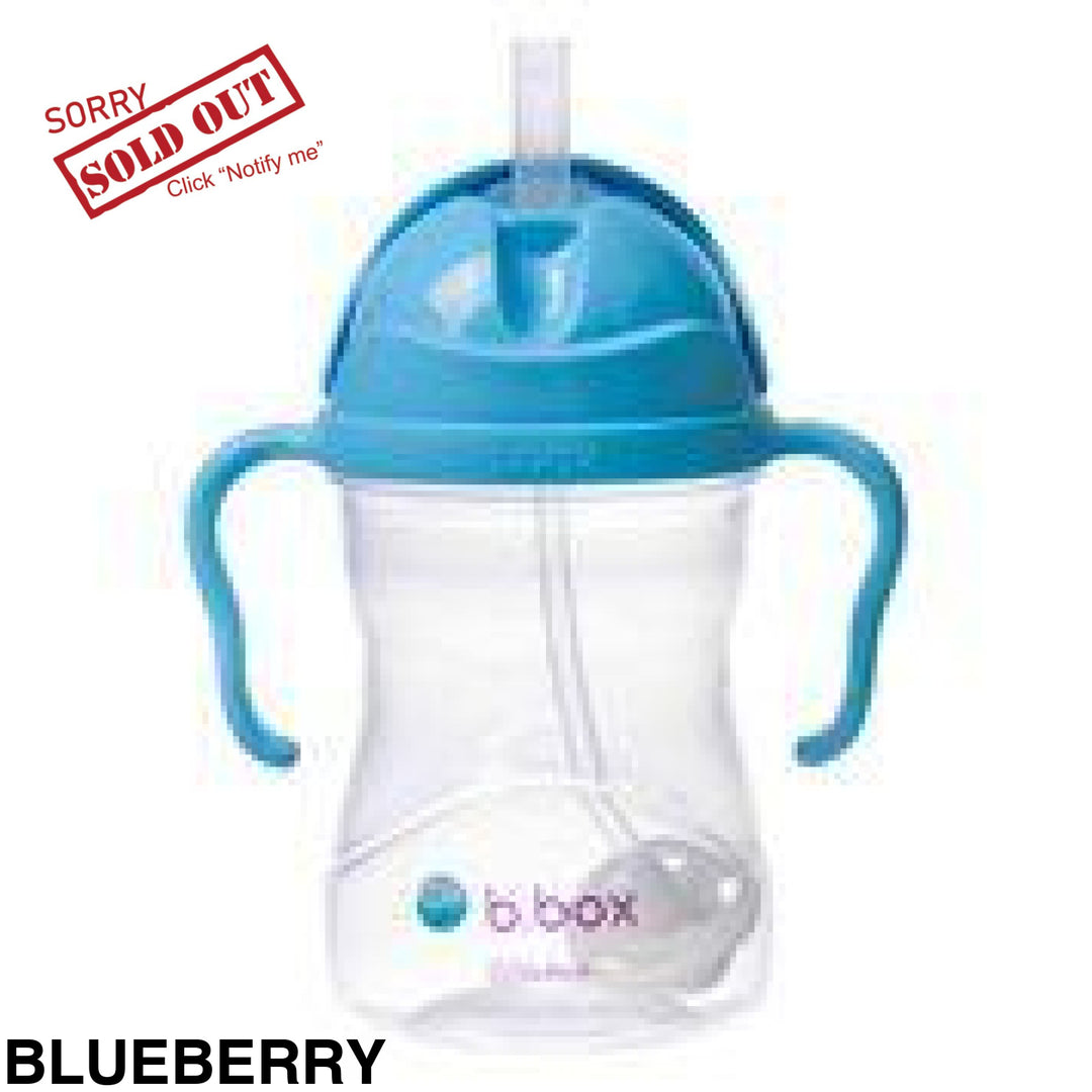 B.box Sippy Cup Blueberry