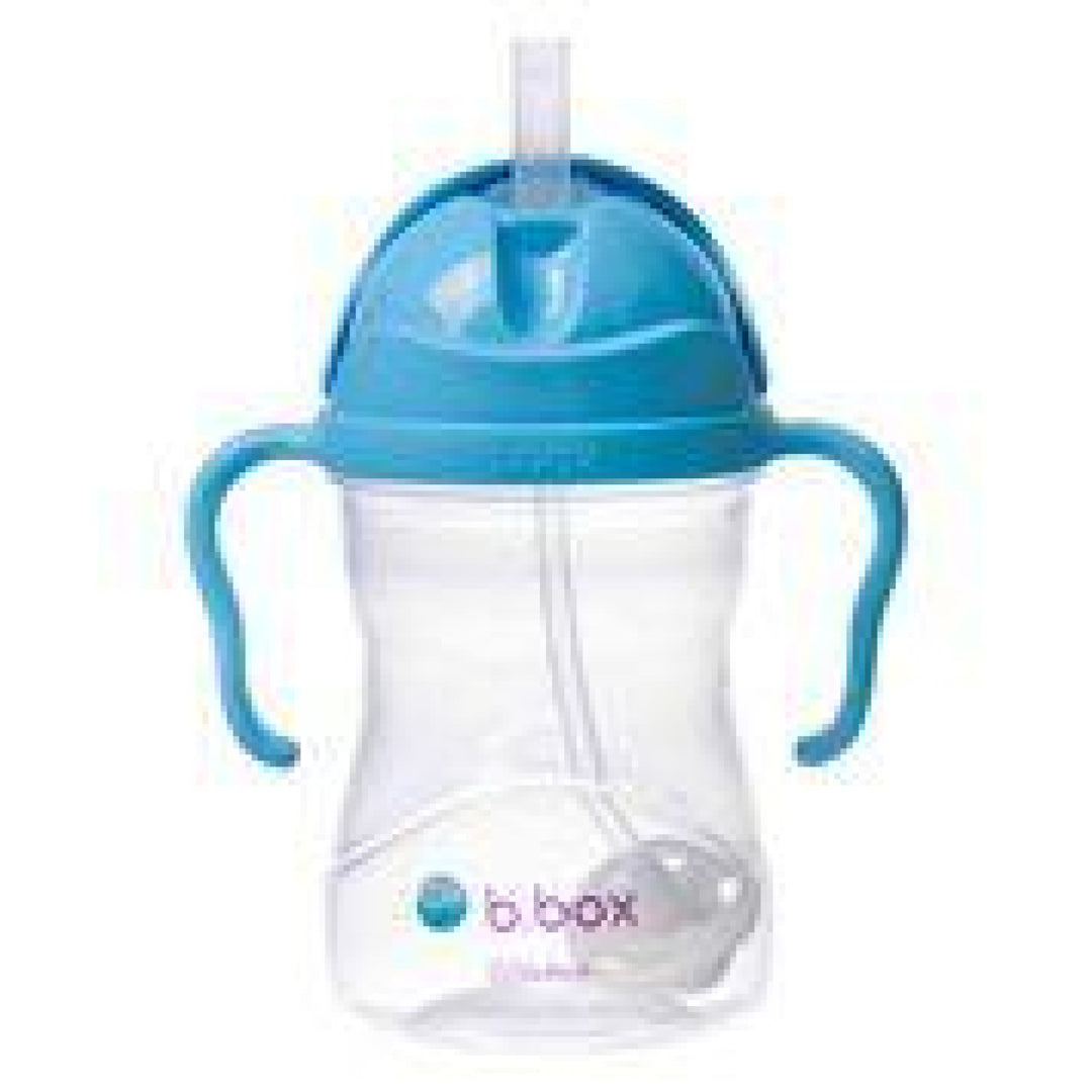 B.box Sippy Cup Blueberry
