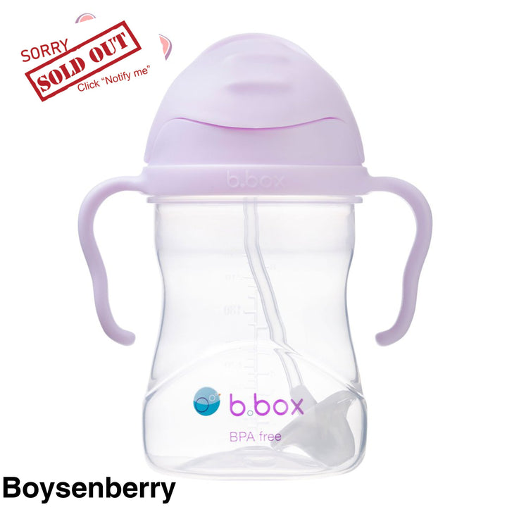 B.box Sippy Cup Boyesnberry