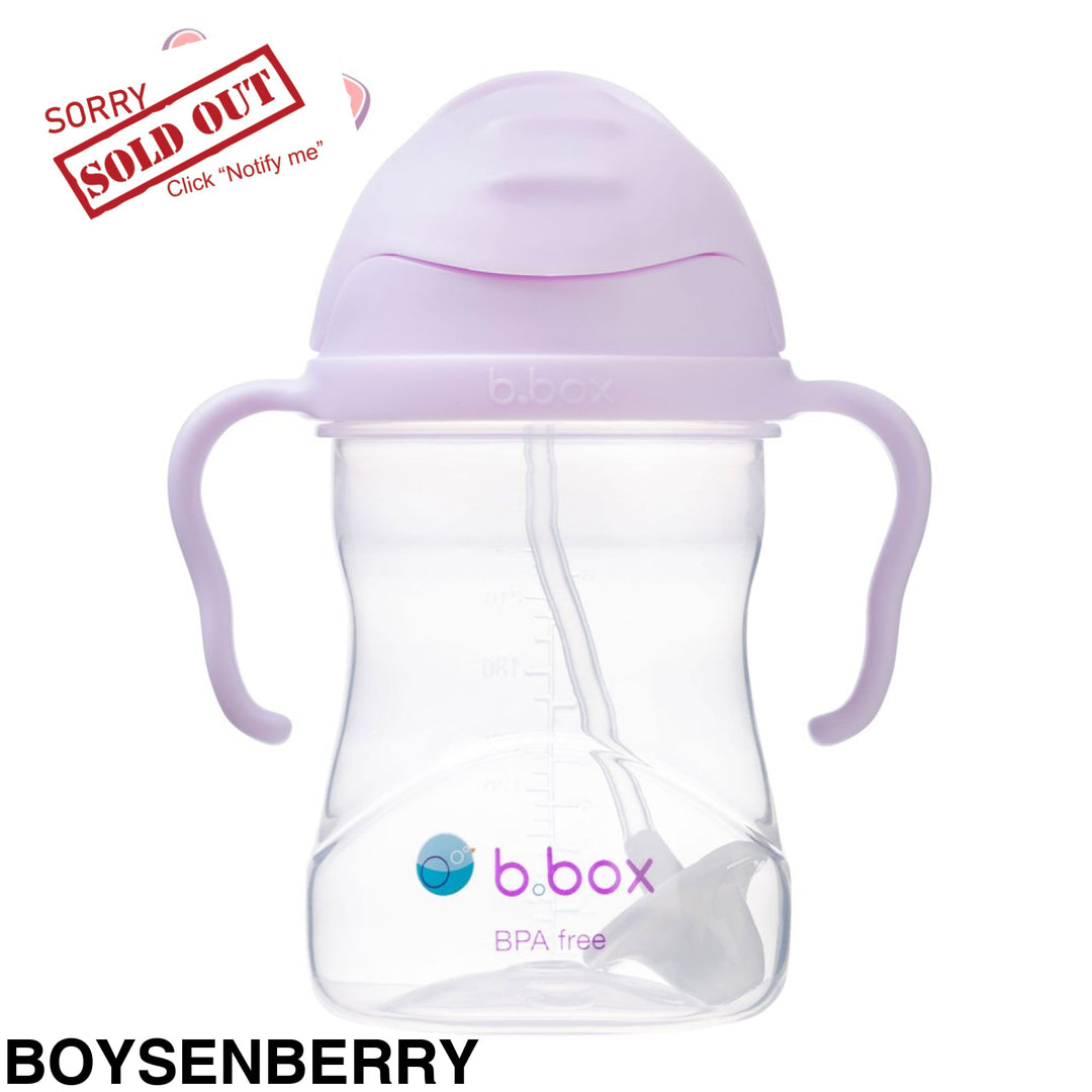 B.box Sippy Cup Boyesnberry