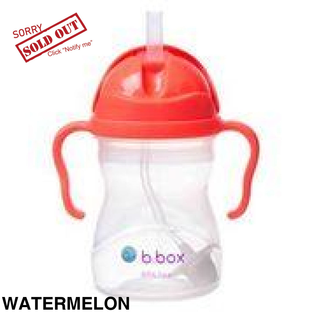 B.box Sippy Cup Raspberry