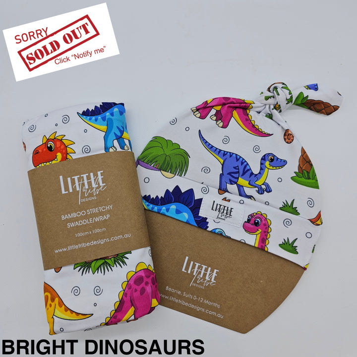Bamboo Baby Swaddle And Beanie Set Bright Dinosaurs