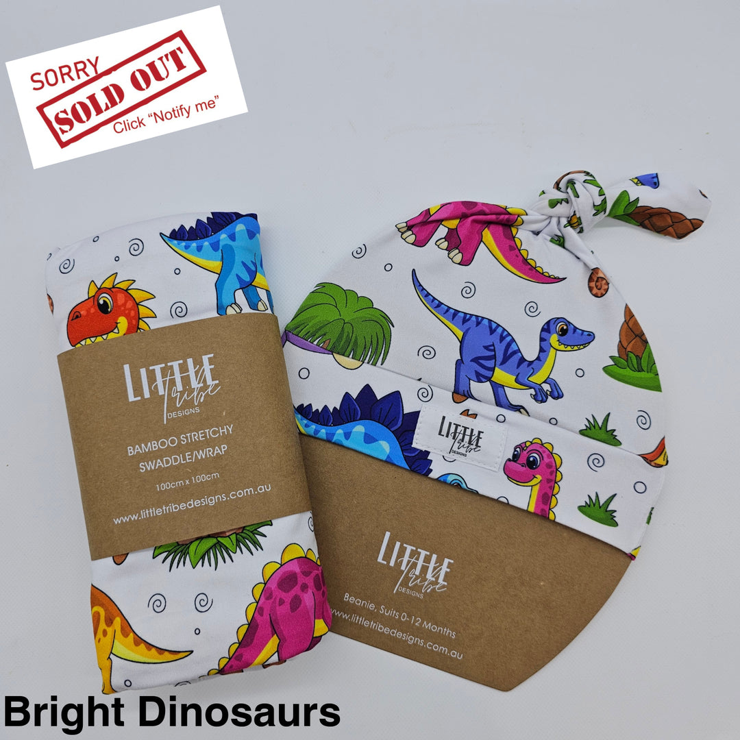 Bamboo Baby Swaddle And Beanie Set Bright Dinosaurs