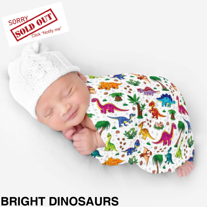 Bamboo Snuggle Stretch Wrap - Assorted Bright Dinosaurs Wraps