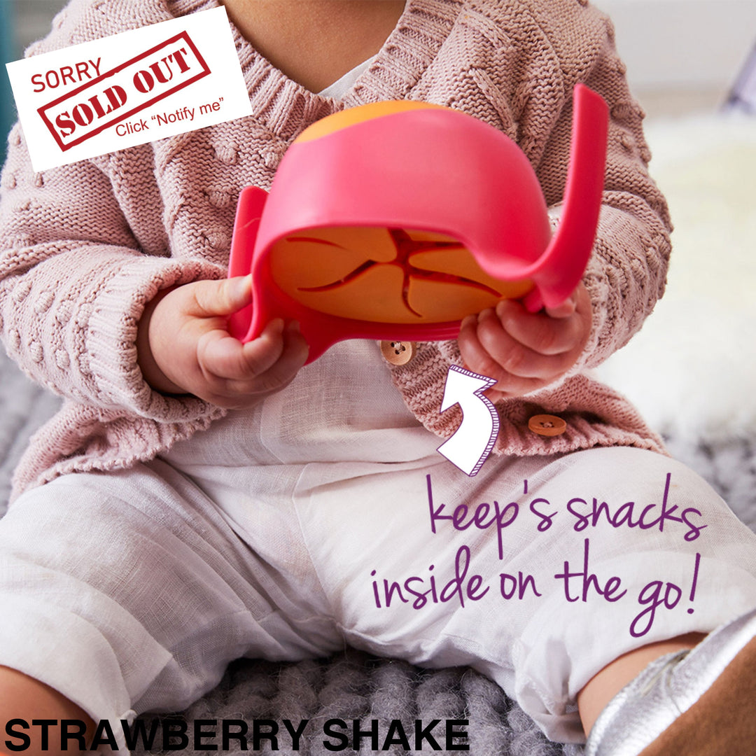 Bbox Bowl + Straw Strawberry Shake