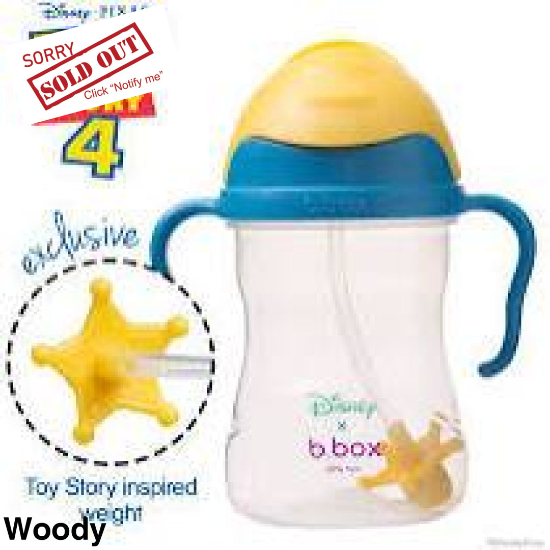 Bbox Disney Sippy Cups Woody