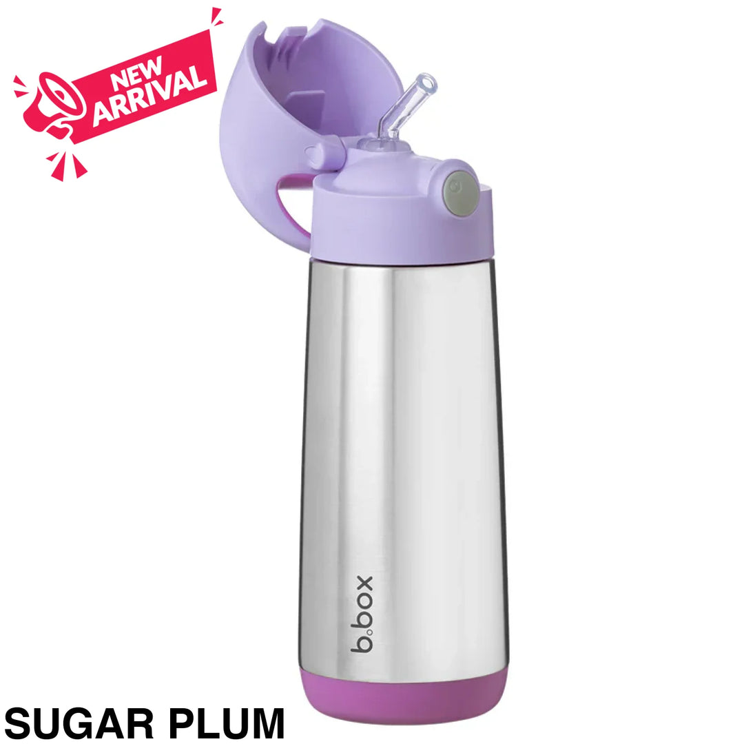 BBox Insulated Drink Bottle 500ml Sugar Plum