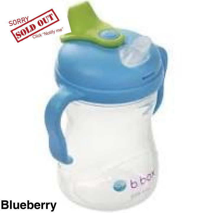 Bbox Spout Cup Blueberry