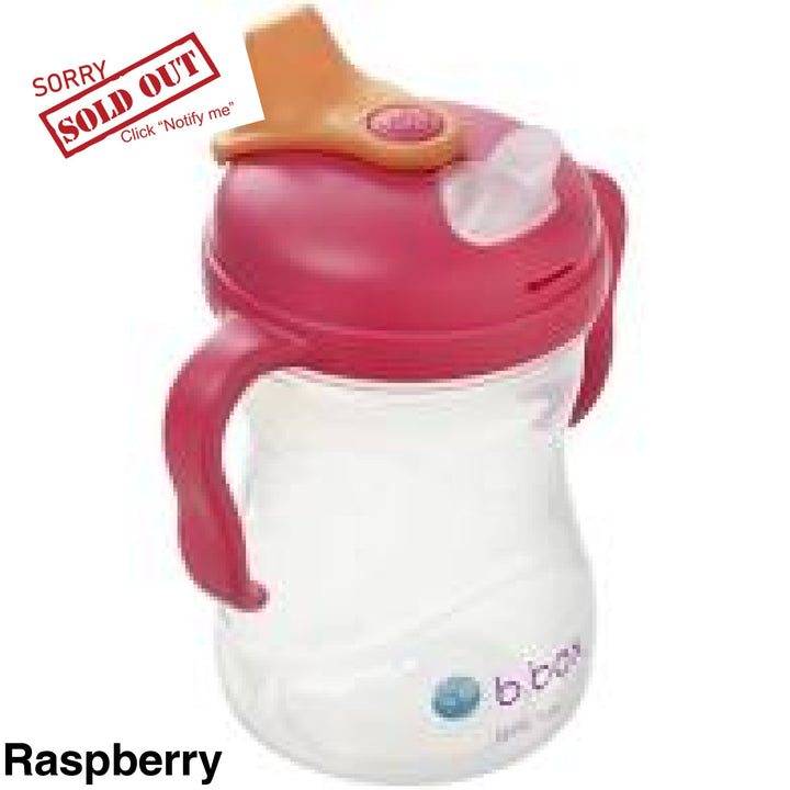 Bbox Spout Cup Raspberry