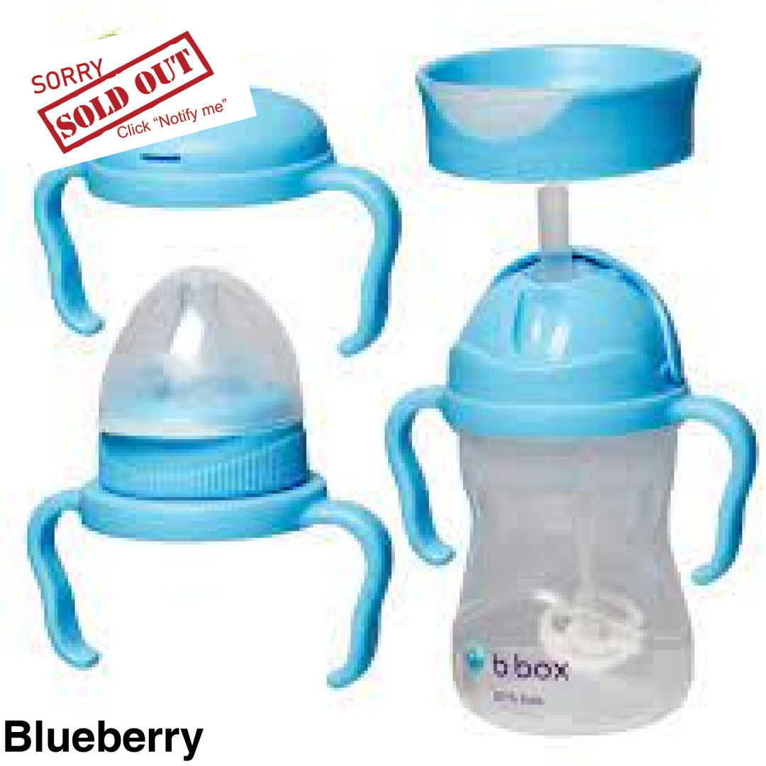 Bbox Transition Value Pack Cup Blueberry