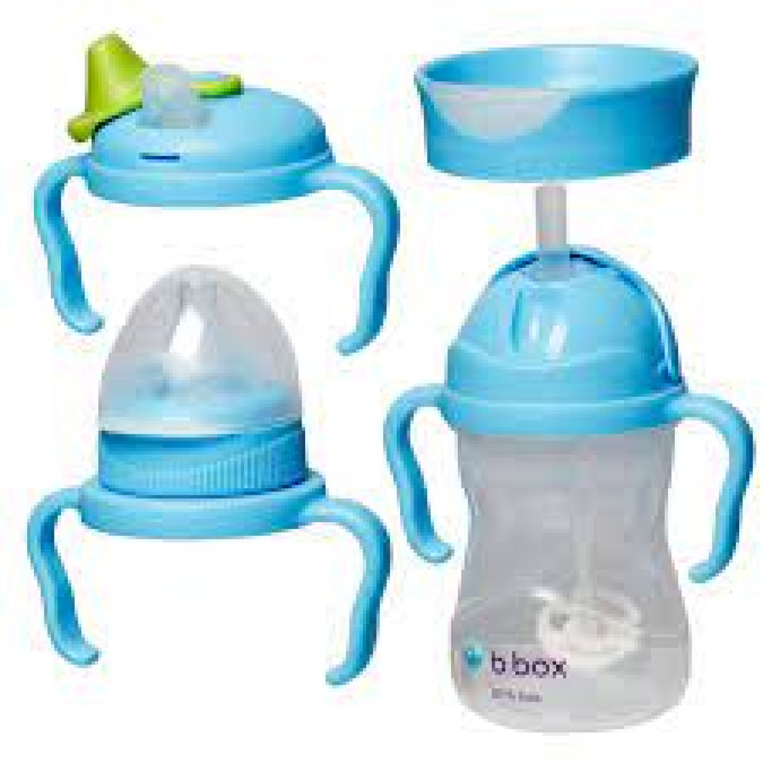 Bbox Transition Value Pack Cup Blueberry