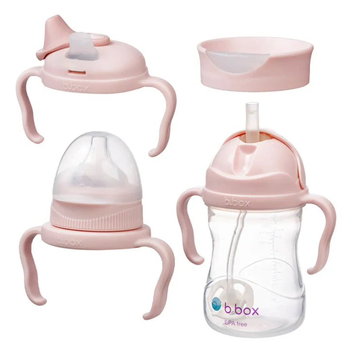 BBox Transition Value Pack Cup Blush