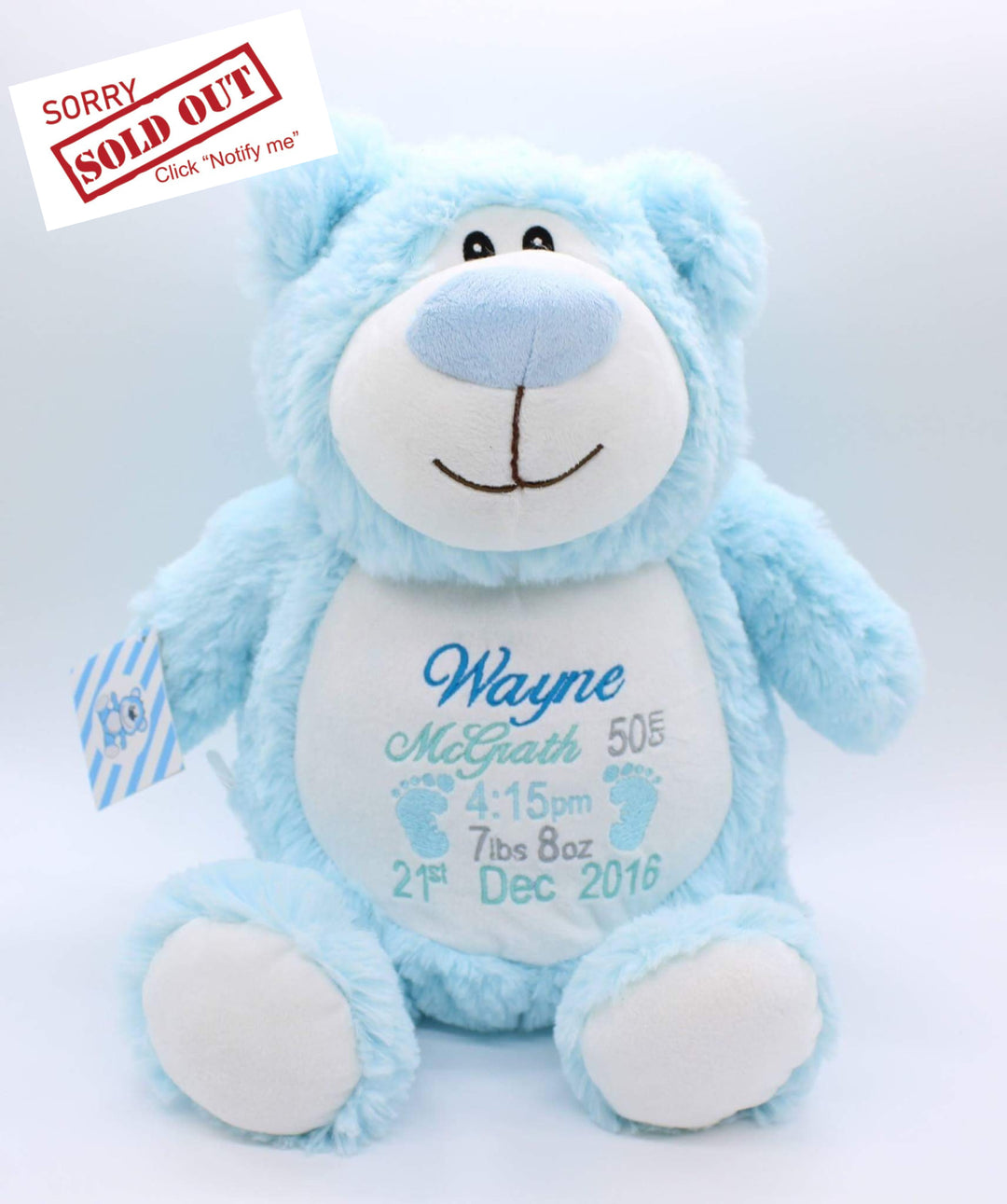 Bear Blue Cubbie