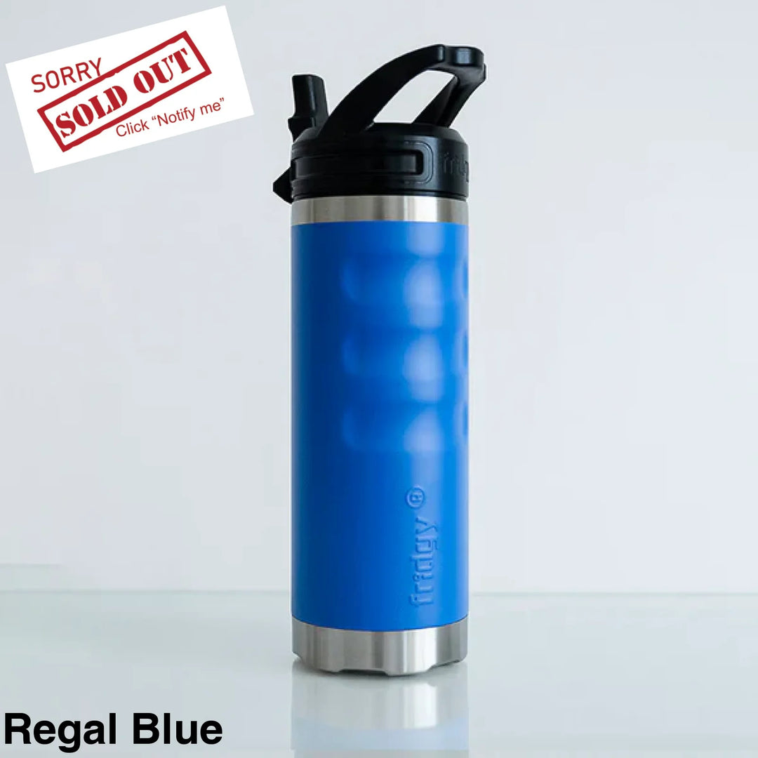 Fridgy 540Ml Insulated Bottle Sipper Regal Blue
