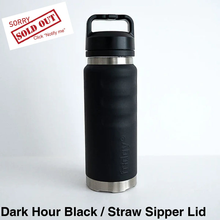 Fridgy 780Ml Insulated Bottle Dark Hour Black / Wide Mouth Screw Lid