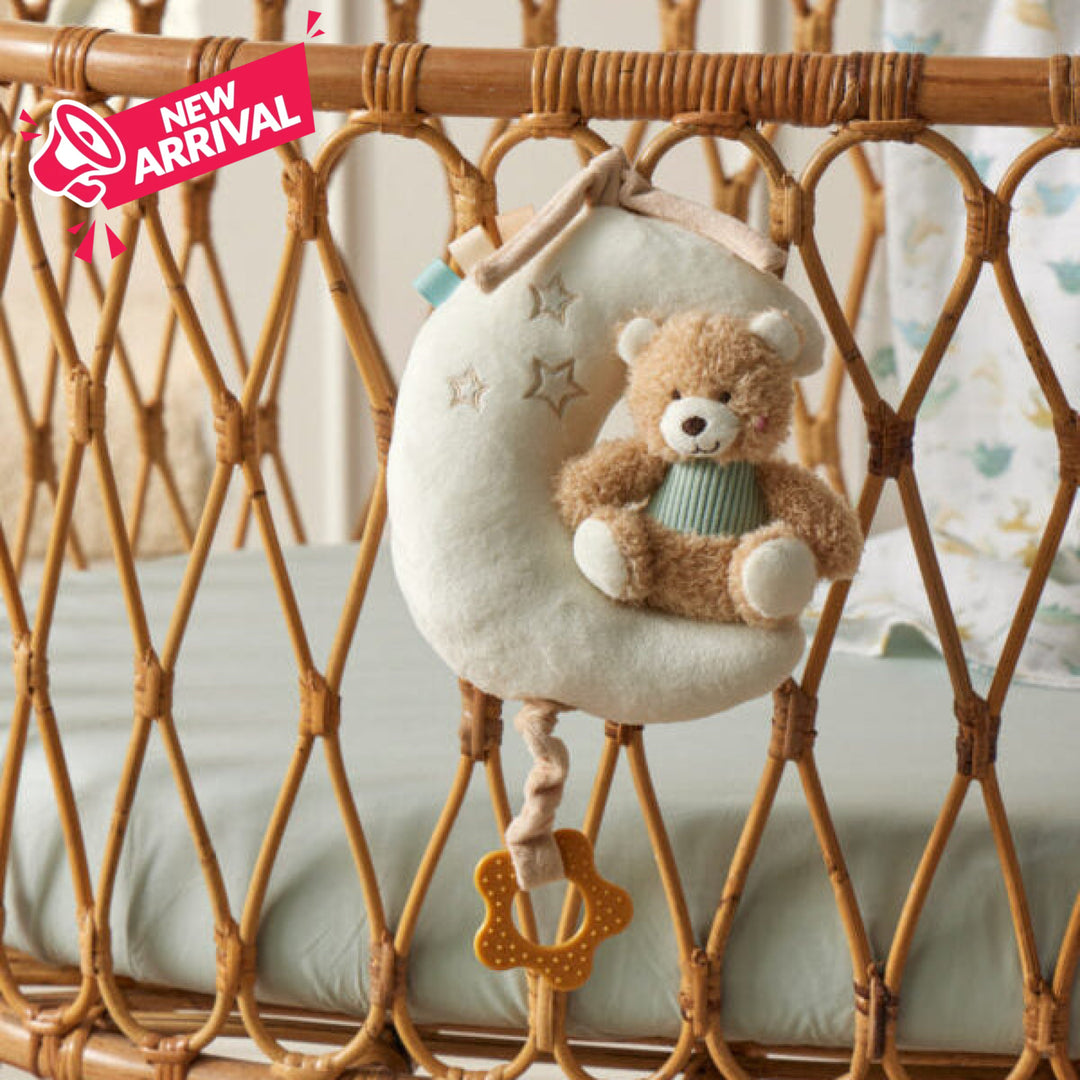 Jiggle &amp; Giggle Hugglies Musical Toy
