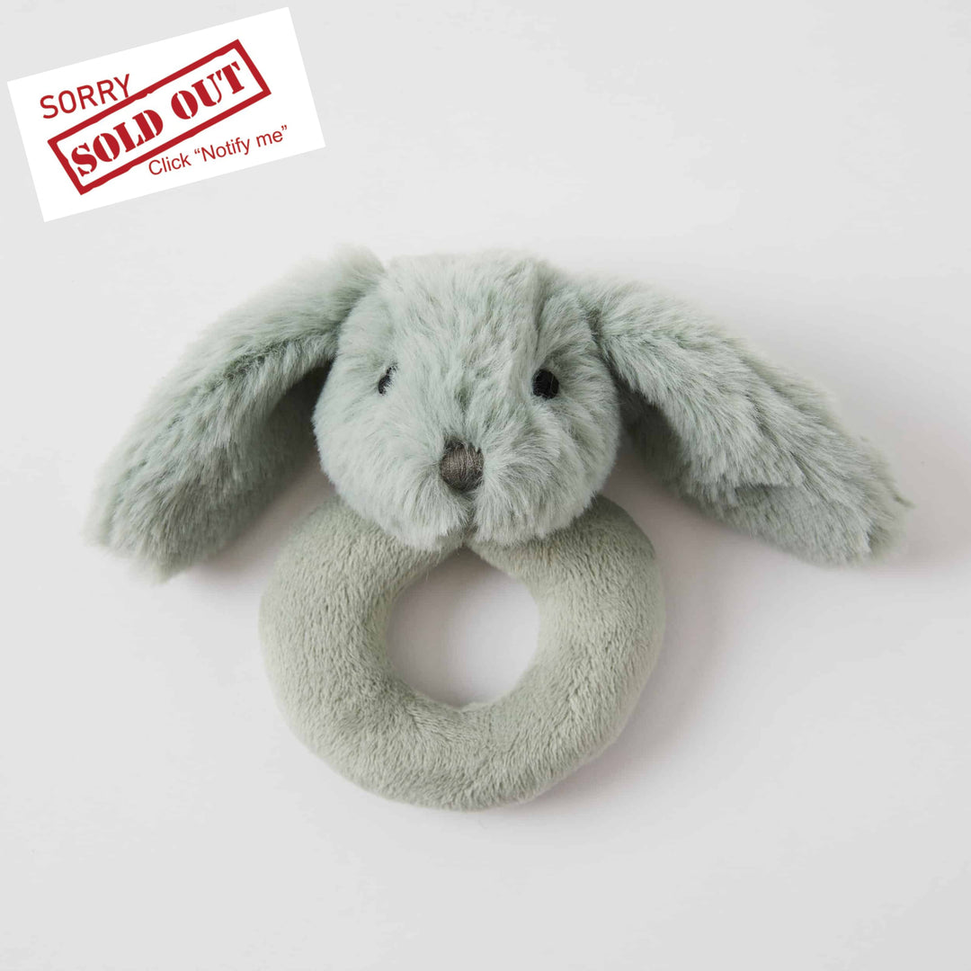 Jiggle And Giggle Bunny Rattle Green