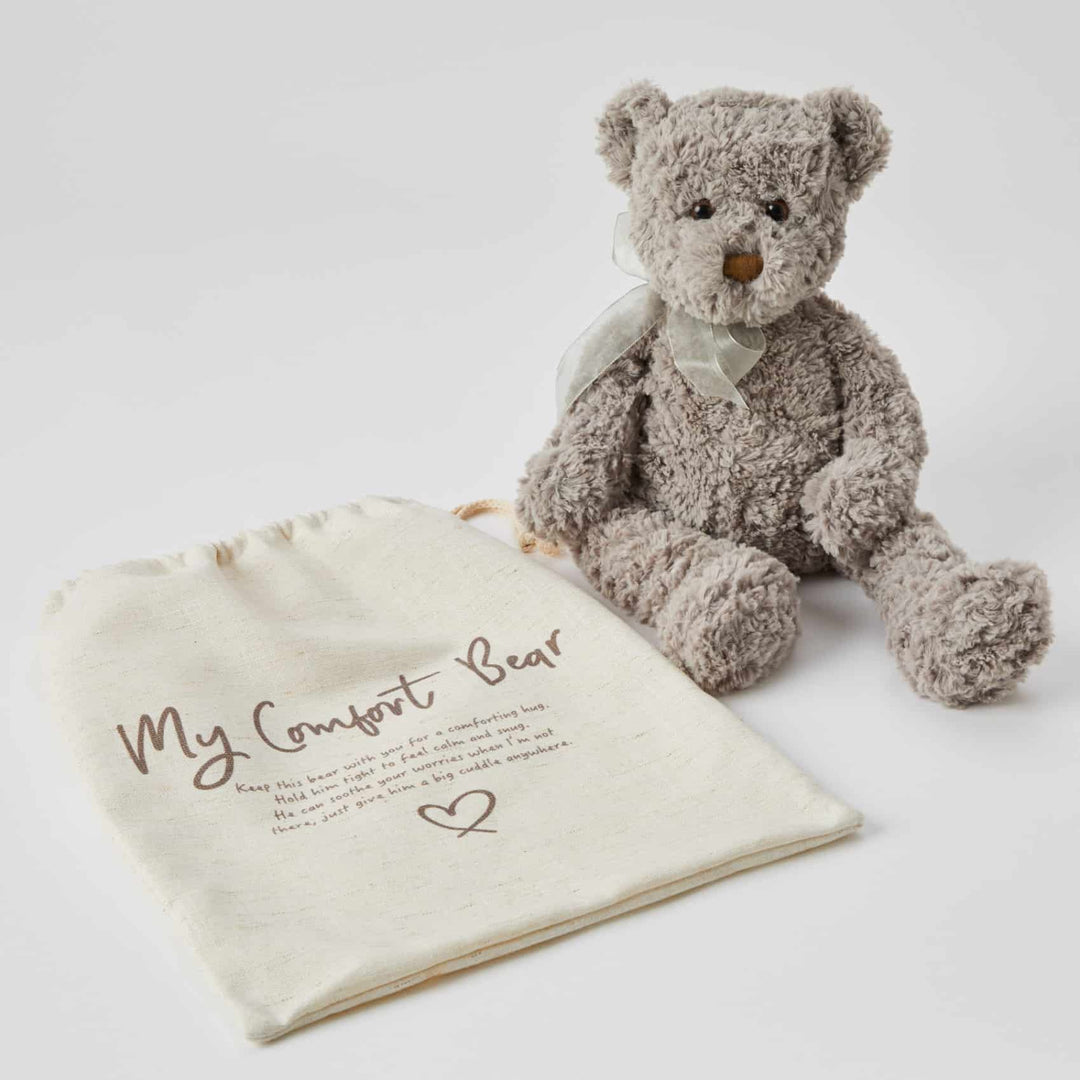 Jiggle And Giggle Comfort Toy Darcy The Bear
