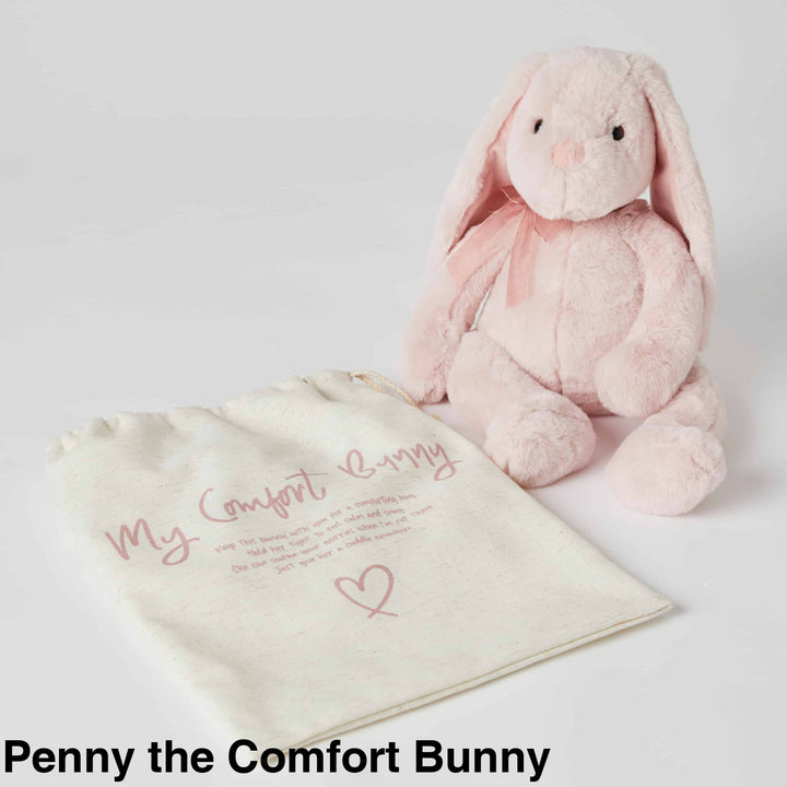 Jiggle And Giggle Comfort Toy Penny The Bunny