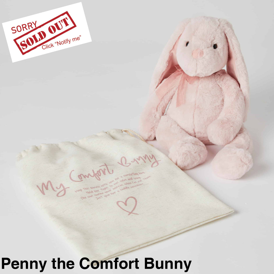 Jiggle And Giggle Comfort Toy Penny The Bunny