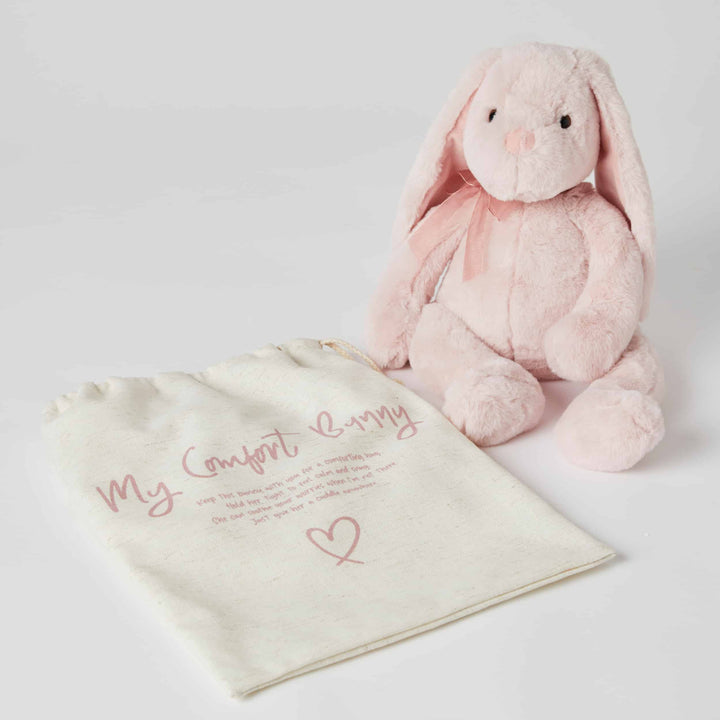Jiggle And Giggle Comfort Toy Penny The Bunny