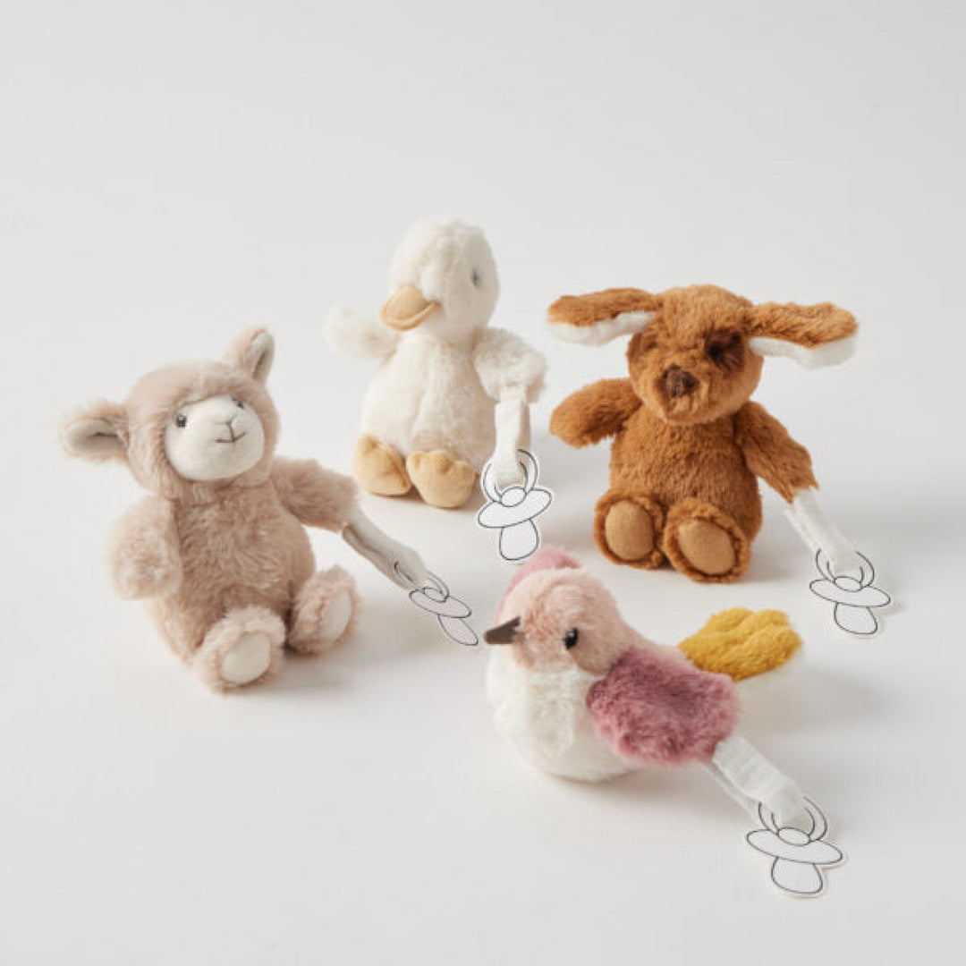 Jiggle & Giggle Dummy Clip Toy