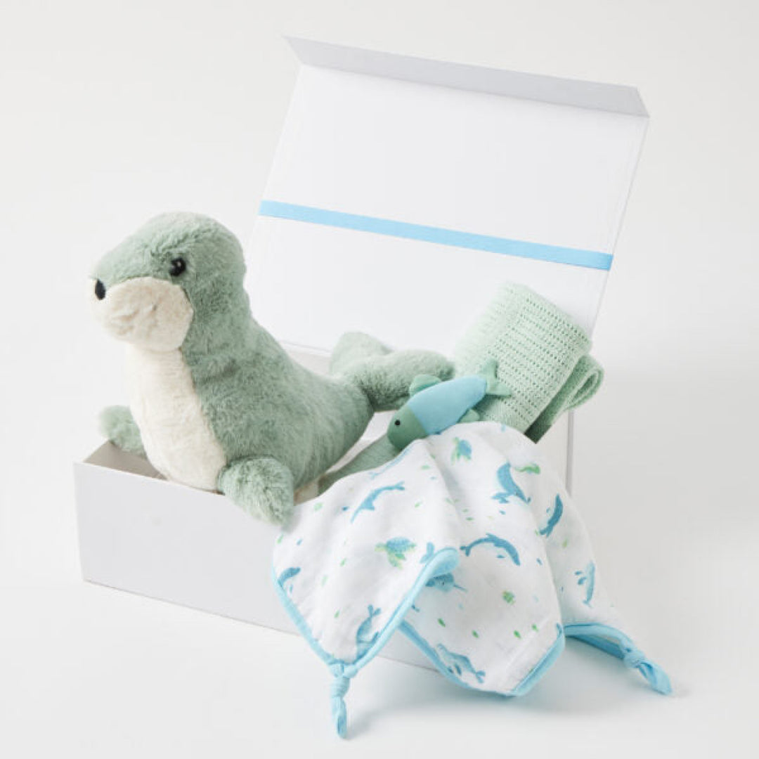 Jiggle & Giggle Sirell Seal Hamper Gift Set