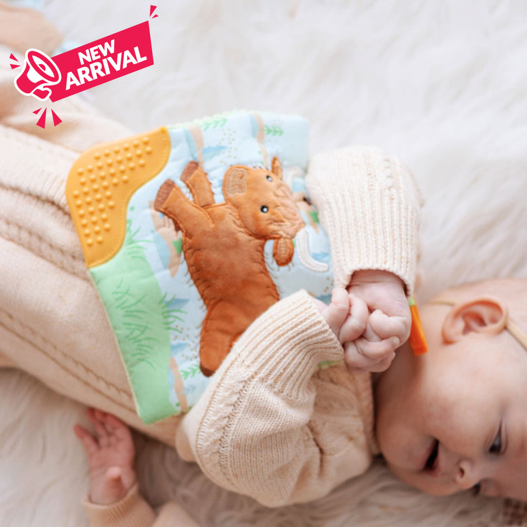 Mary Meyer Crinkle Me Teether Pram Toy