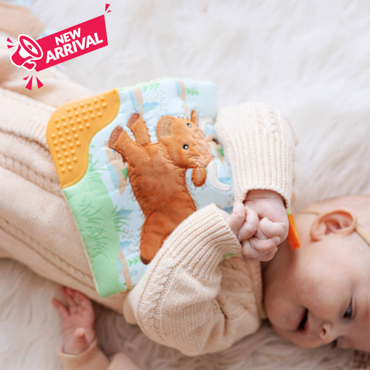 Mary Meyer Crinkle Me Teether Pram Toy