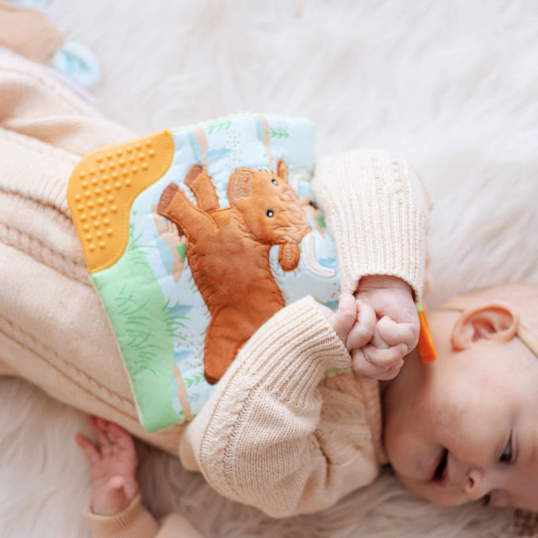 Mary Meyer Crinkle Me Teether Pram Toy