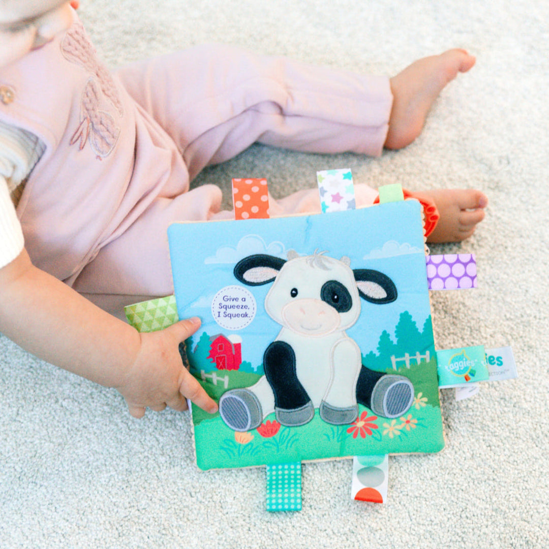 Mary Meyer Taggies Crinkle Me Pram Toy
