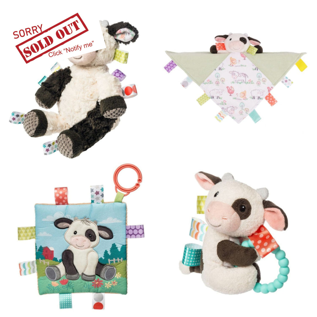 Mary Meyer Taggies Gift Bundle Bundle