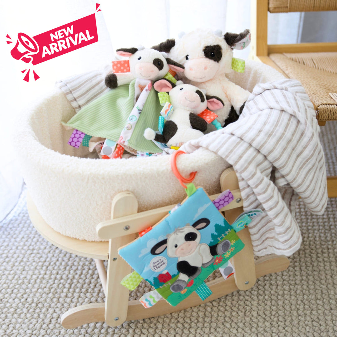 Mary Meyer Taggies Gift Bundle Bundle