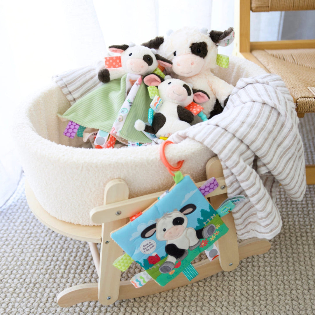 Mary Meyer Taggies Gift Bundle Bundle
