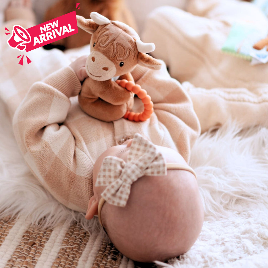 Mary Meyer Teether Rattle