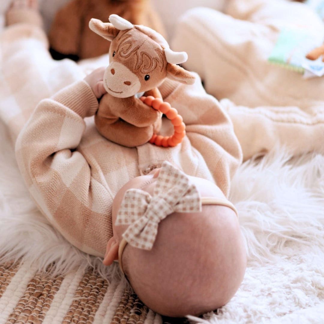Mary Meyer Teether Rattle