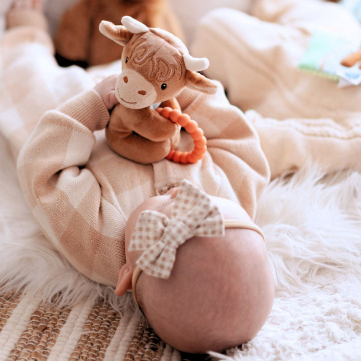 Mary Meyer Teether Rattle