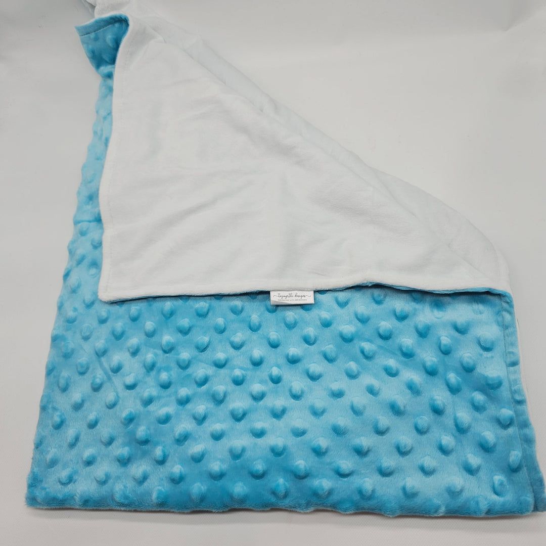 Minky Baby Blanket Blue