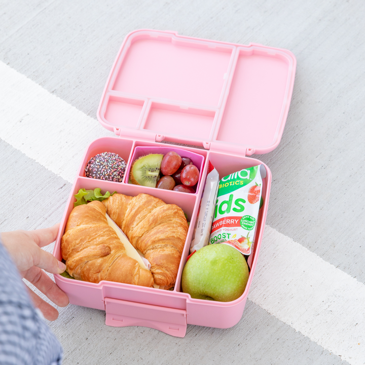 Montiico Bento Feast Lunch Box